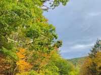Fall Colors - New England, USA