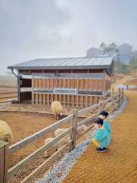 고창의 필수 방문코스 상하농원