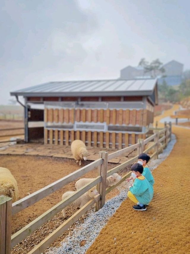 고창의 필수 방문코스 상하농원