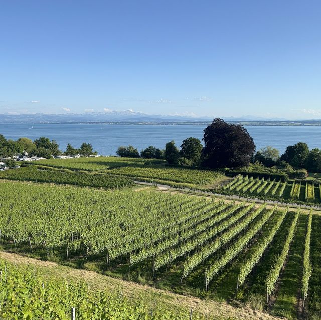 Friedrichshafen - an oasis on the Lake 🇩🇪