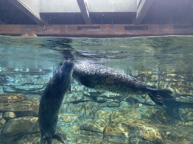 Hangzhou Aquarium 