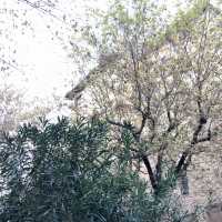Ancient Washhouse in Bergamo Old Town
