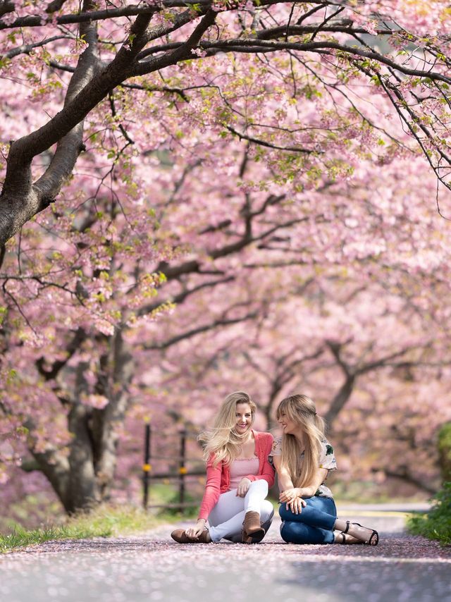 The most beautiful flower location in Japan 