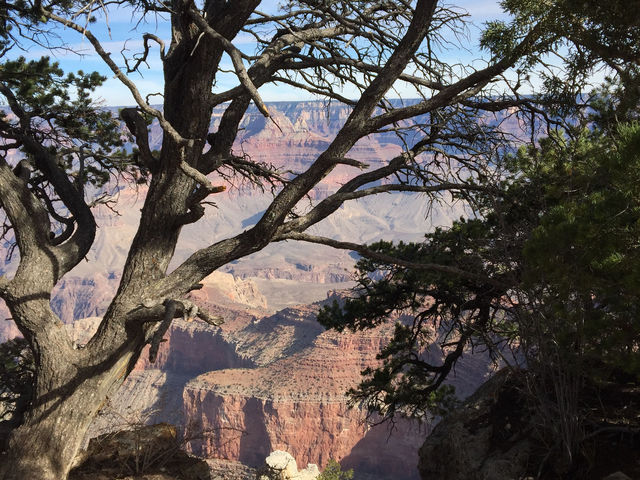 Grand Canyon South Rim - another perspective