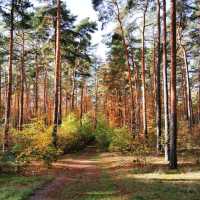 Autumn-Hike around Berlin's Wannsee