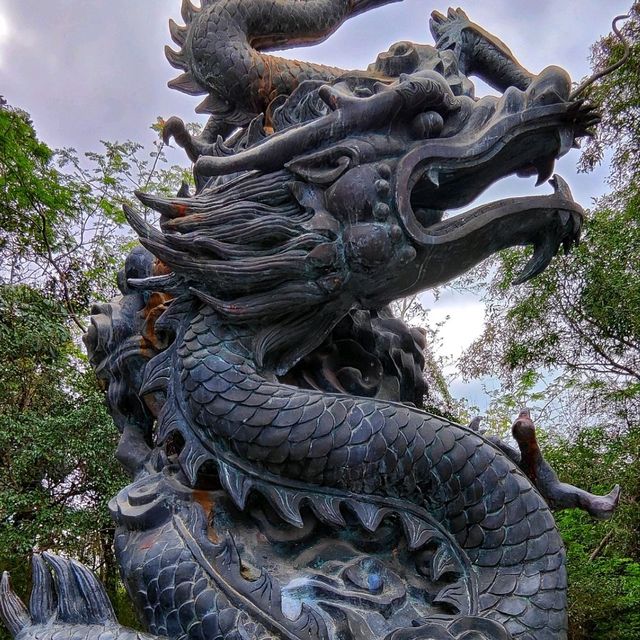 A natural oasis in the heart of Shenzhen! 