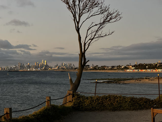 Brighton Beach | Melbourne