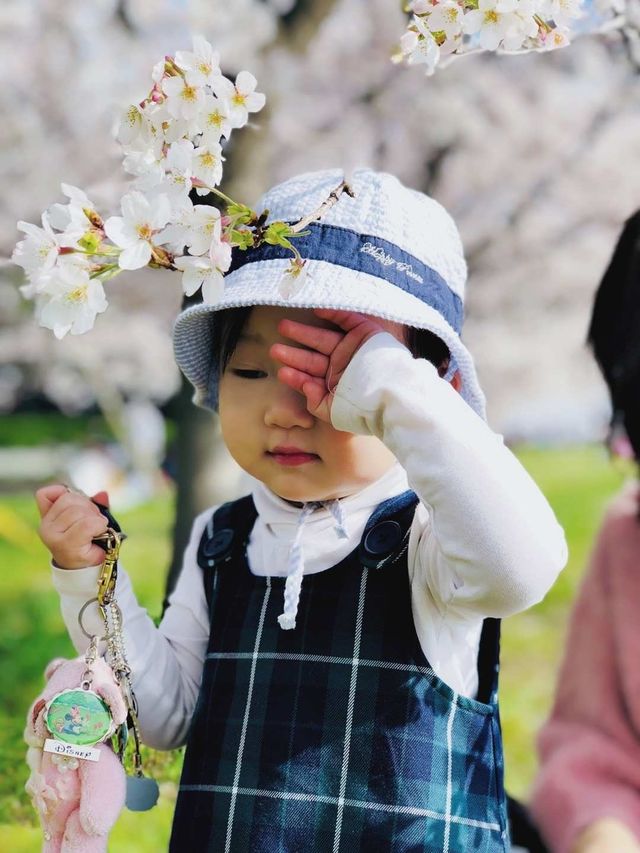 Cherry blossom season is coming again, I really want to go and see the Tamagawa River of the past.