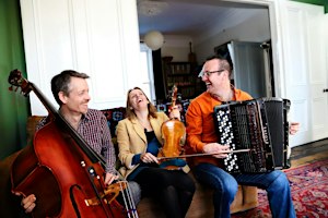 Far Flung Trio | The Large Rooom, City Hall, Waterford