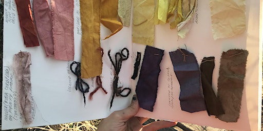 Making Natural Art Supplies | 1255 Wold Rd