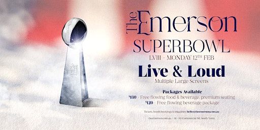 Super Bowl 2024 at The Emerson | The Emerson Rooftop Bar and Club