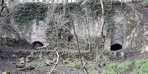 Walk 18 Limekilns and New Works 11 miles | Coalbrookdale & Ironbridge Community Centre