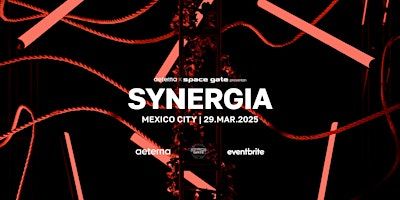 SYNERGIA - SOLOIIST MEXICO CITY 2025 | Bardo Speakeasy