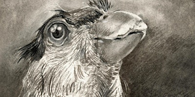 Mindful Charcoal Drawing | Vellum Mill Gallery