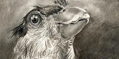 Mindful Charcoal Drawing | Vellum Mill Gallery