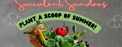 Rock Your Garden: Crafting Succulent Sundaes with a Twist | Boomdyada