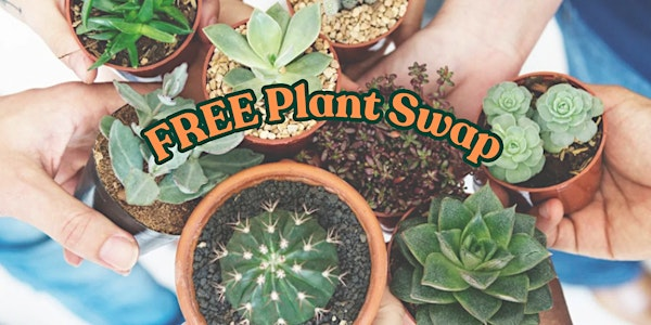 Free Plant Swap | VI Plant Shop
