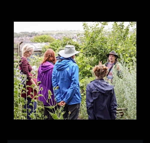Autumn forage | Whitehawk Community Food Project