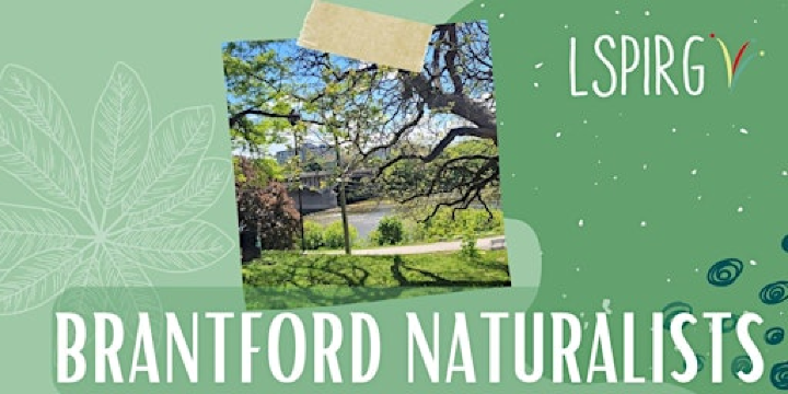Brantford Naturalists | LSPIRG, Odeon Building Basement