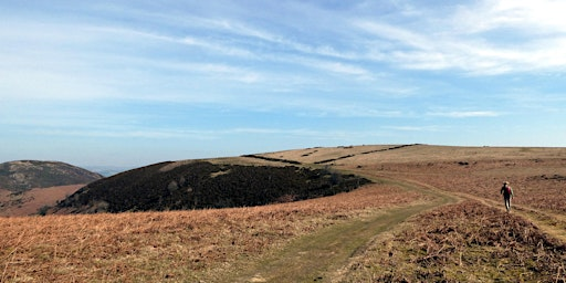 Rambling the Line: An artist led walk up Hergest Ridge | Gladestry Village Hall
