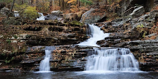 Understanding Exposure (ISO, Shutter and Aperture) | The Camera Company