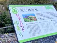 山口観光⛩赤青緑のコントラストが美しい👏👏【元乃隅神社】