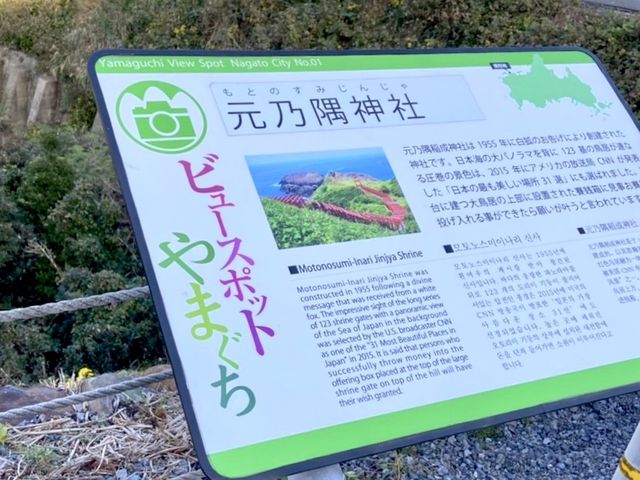 山口観光⛩赤青緑のコントラストが美しい👏👏【元乃隅神社】
