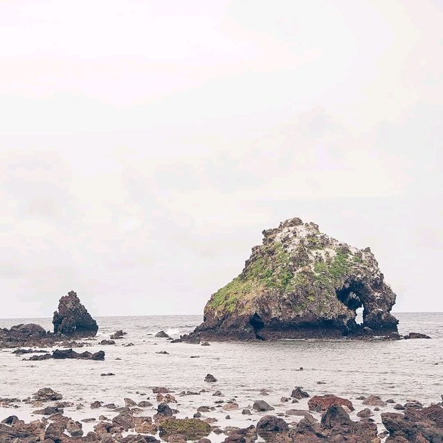 섬 속의 섬, 제주도 비양도 여행