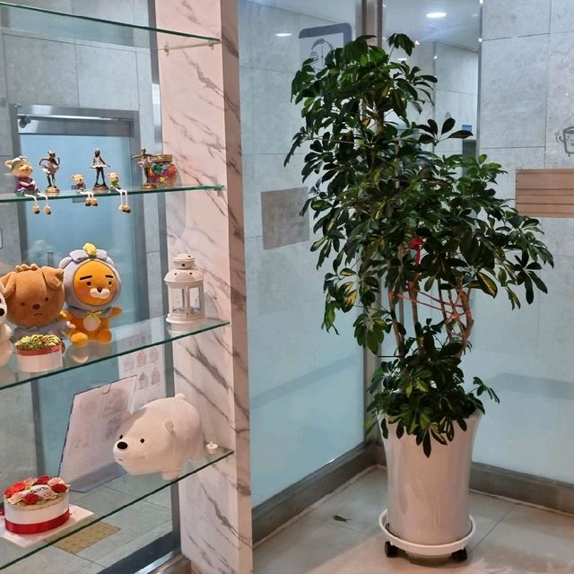 [괴정카페-카페오후6시] 쌀디저트 카페