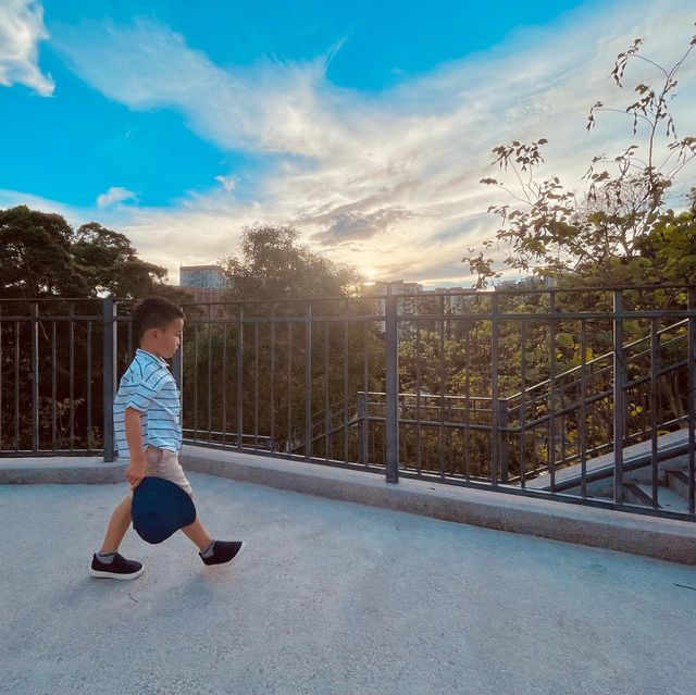 森系花園咖啡店打卡熱點，交通方便鄰近荔枝角公園！