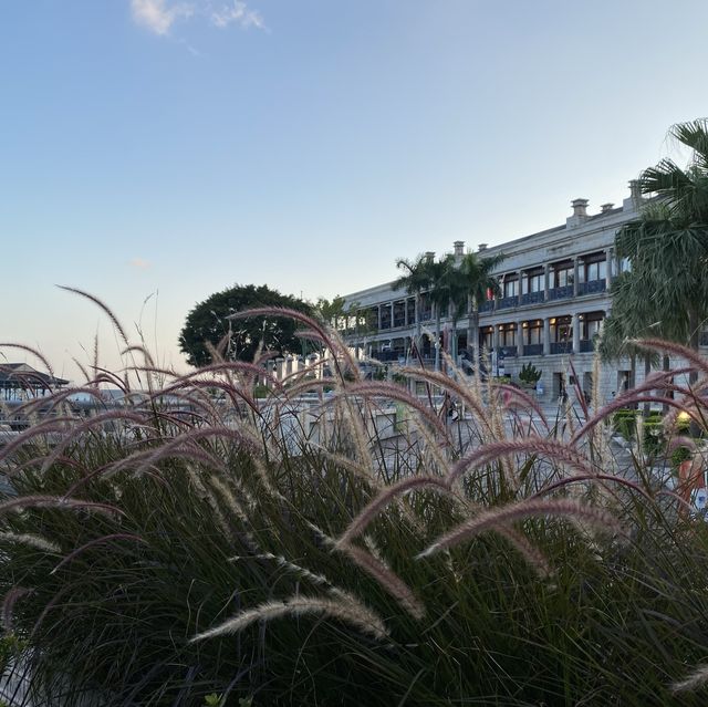 赤柱美利樓 - 感受外國風情🤩