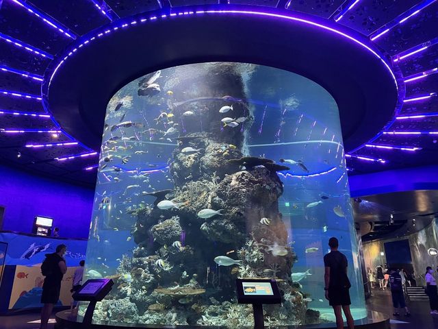 S.E.A. Aquarium, Resorts World Sentosa SG