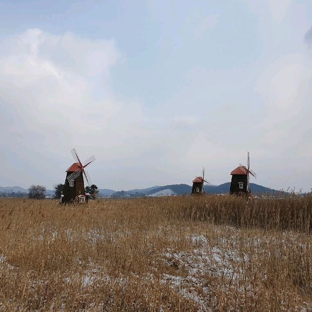 겨울에도 좋아요 소래습지생태공원