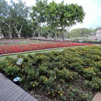 賞花攻略 大埔海濱公園
