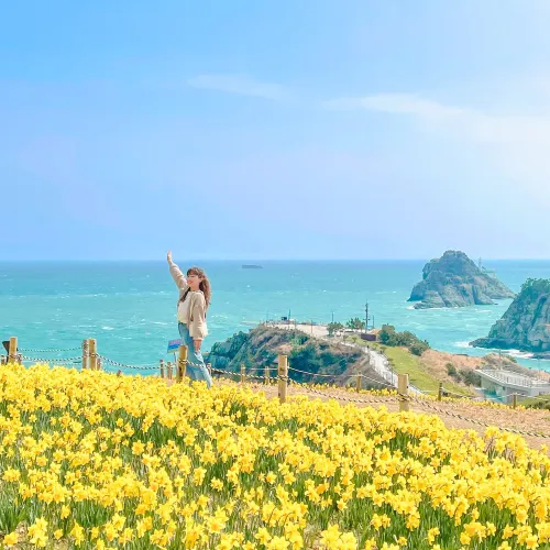🌼봄이 찾아 온 부산