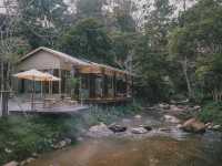 RiRi Teahouse ยกญี่ปุ่นมาไว้ที่ไทย จ.เชียงราย