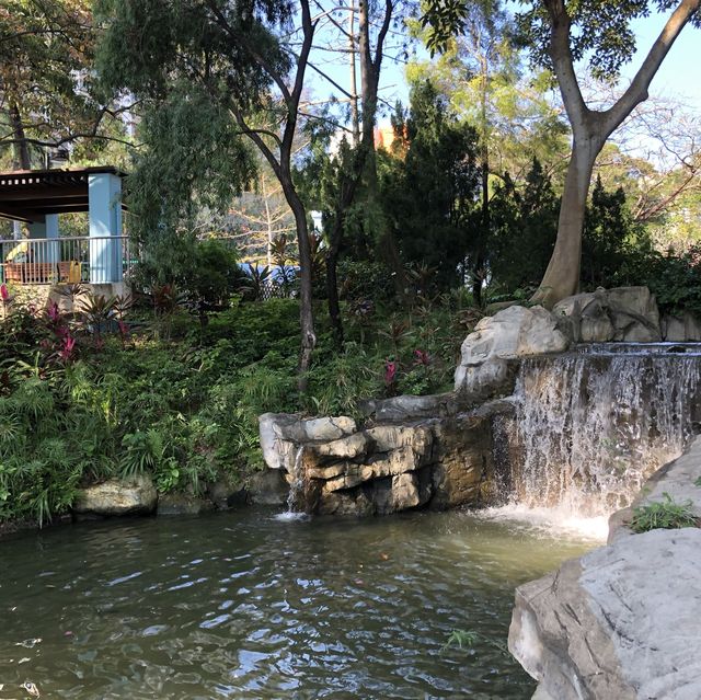 🌲荃灣後花園🌹尋找復活兔🐰