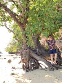 เหลาลาดิง Paradise Island 