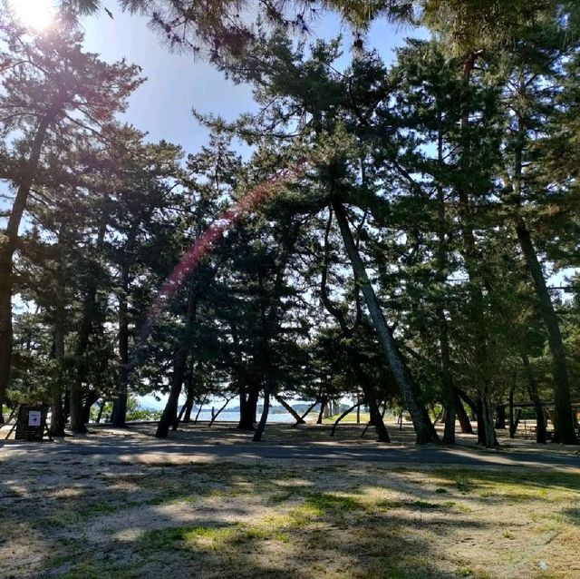 【滋賀県 野洲市】琵琶湖✨びわこマイアミランドの施設紹介🌟