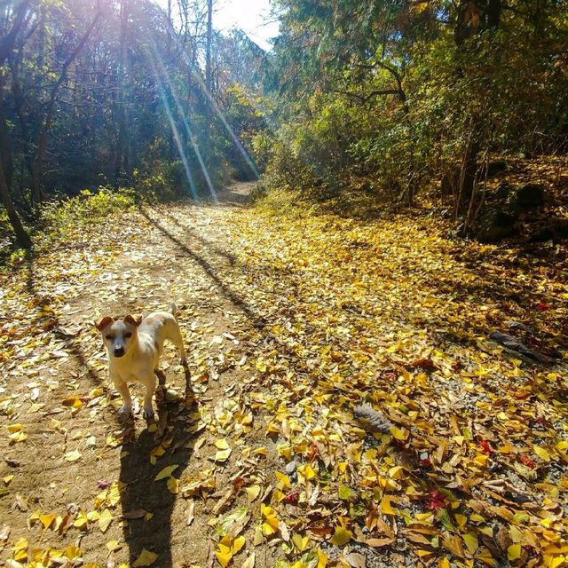 전주 모악산 등산 