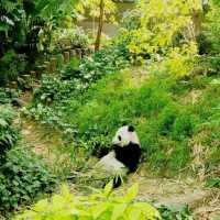 Trip to River Wonders