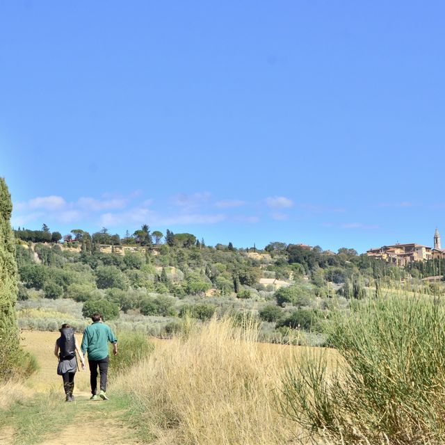 意大利Toscana🇮🇹 徒步旅行San Quirico d'Orcia-Pienza