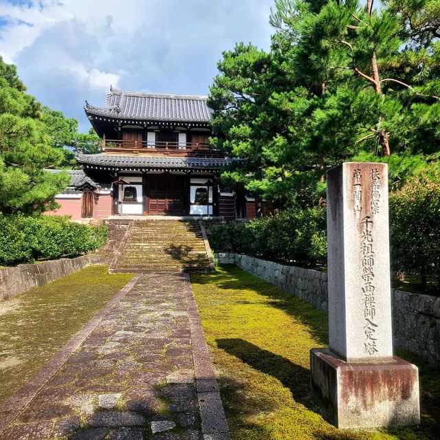 畳108畳ぶんの水墨画の双龍図が圧巻✨