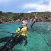Beautiful coral in Redang Island!