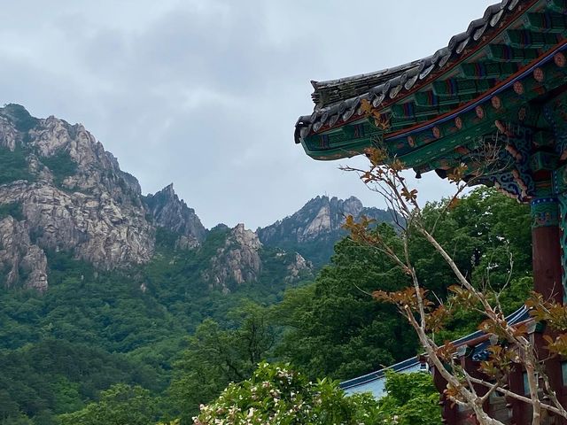 선선한 날씨에 딱 가기 좋은, 속초 설악산 🍃