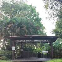 chill, leisure walk @changi point Boardwalk 