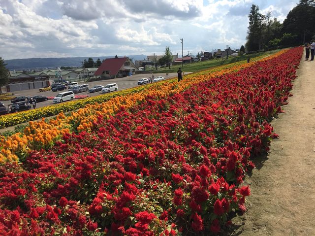 Nakafurano Flower Park