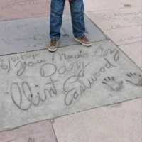HOLLYWOOD: WALK OF FAME TO REMEMBER