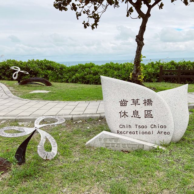 齒草橋休息區｜東海岸裝置藝術好漂亮