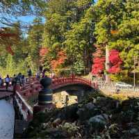 มรดกโลก สะพานชินเคียว🍁🍁🍁